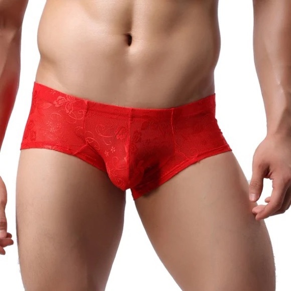 Men’s Mini Boxer Shorts Sexy Lace Sheer Underwear - Picture 4 of 8